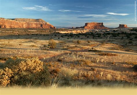 The Ben Lowe Place In Escalante Canyon Interpretive Association Of