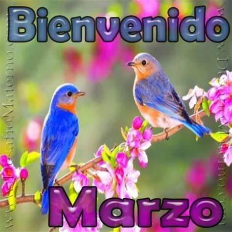 Bienvenido marañón morejón (spanish pronunciation: Imágenes de bienvenido marzo con frases y mensajes ...