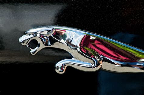 Download High Quality jaguar logo emblem Transparent PNG Images - Art