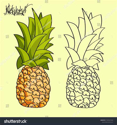 Vector Hand Drawn Pineapple Background Exotic Stock Vector Royalty