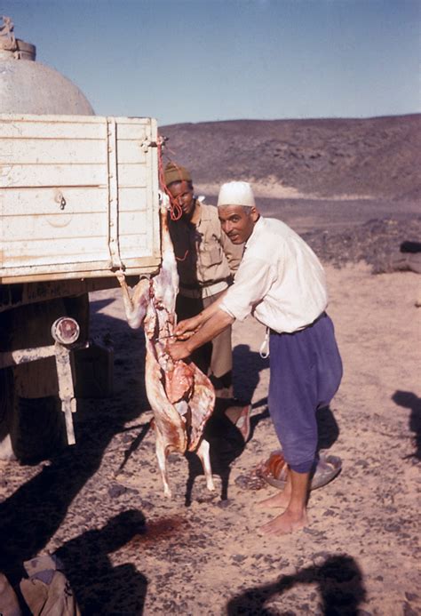 'he's out of line, but he's right' is the newest meme from 'the falcon and the winter soldier'. Libya 1961 photos of local desert people