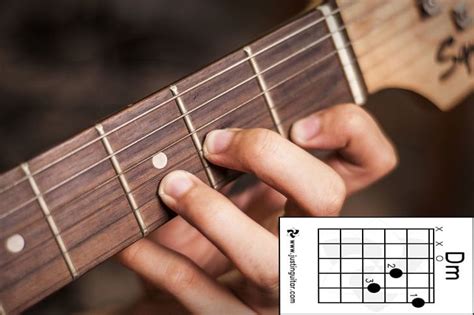 17 Cara Belajar Bermain Gitar Kunci Dasar Gitar Pemula Hingga Mahir