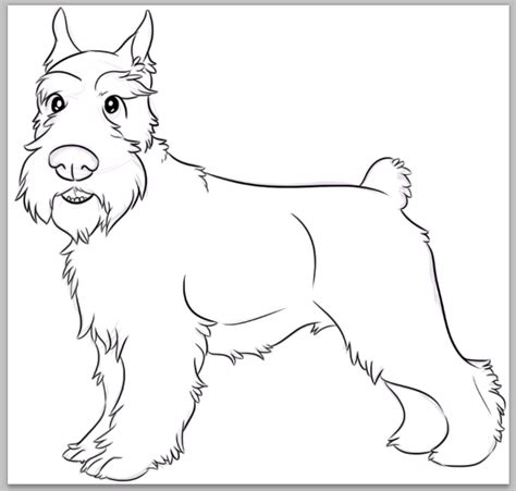 Schnauzer Line Drawing At Getdrawings Free Download