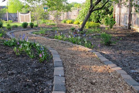 It seems to affect both legs, so it's not like he's limping, just sort of hobbling. Dr. Hortfreud Returns! | Garden pathway, Dream garden