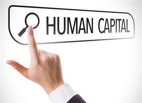 What Is Human Capital Management