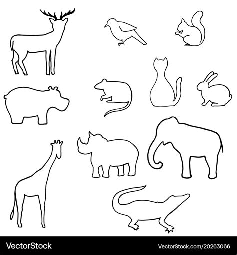 Wild Animal Line Drawing Of Animals Rectangle Circle