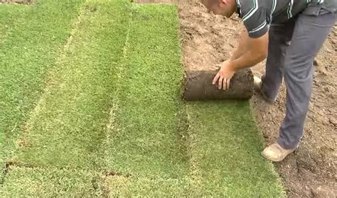 Laying artificial turf on concrete pavers is a simple yet effective way to give your y artificial grass installation best artificial grass diy artificial turf. How To Lay Turf Properly | Step By Step Instruction Video ...