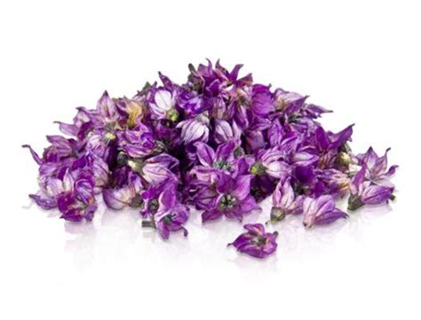 Edible Flowers Purple Pepper Blossoms Edible Deep Purple Etsy Australia
