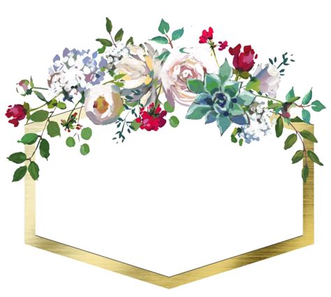 Floral Frame Png Transparent Images Png All