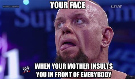15 Hilarious Wwe Memes That Perfectly Sum Up Everyday Situations