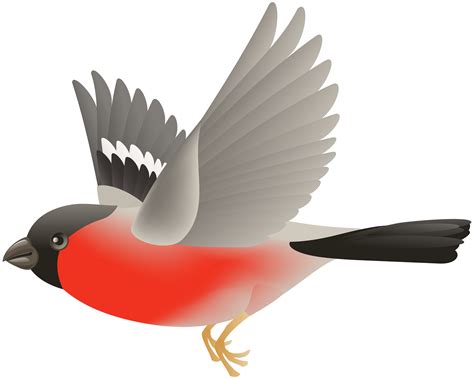 Flying Birds Clipart Png