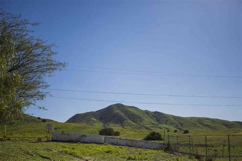 This guide book also teaches us how to train a puppy the easy, fun and cheap. About K-9 Companions | Certified Dog Training Classes + K9 ...