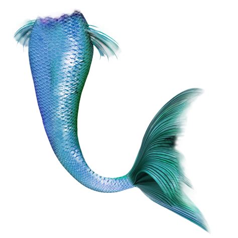 Blue Mermaid Tail Transparent Mermaid Tail Png Png Download Transparent Png Image Pngitem
