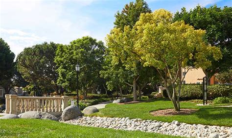 They can handle everything from stump removal to tree trimming. Homeowners' Association | Atlas Tree Service | San Diego CA