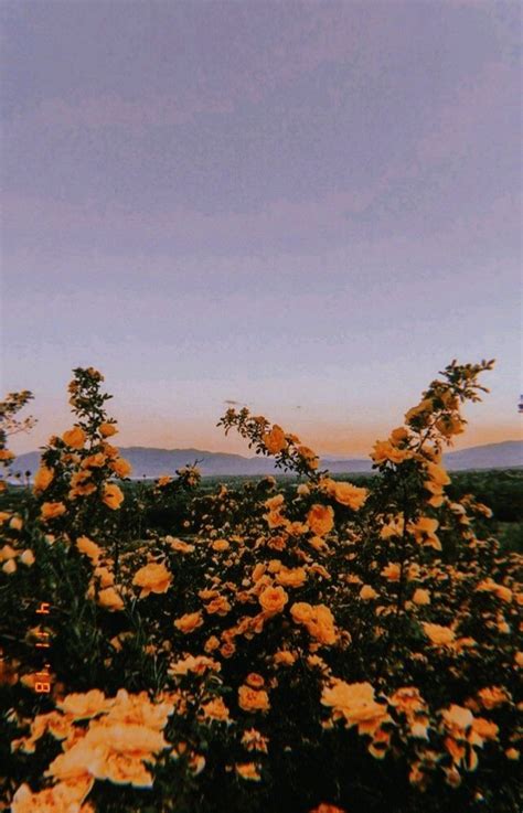 You can also upload and share your favorite aesthetic pc wallpapers. Grunge Tumblr Aesthetic Wallpapers - Top Free Grunge Tumblr Aesthetic Backgrounds - WallpaperAccess