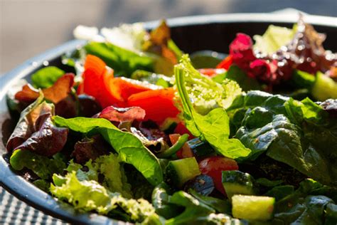 Grow Your Own Salad Bowl Yates Gardening