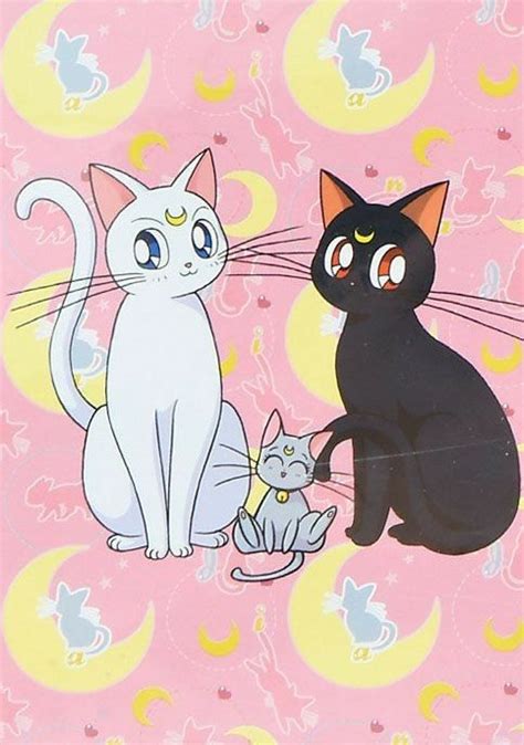 Fofuraaa💕 Sailor Moon Cat Sailor Moon Character Sailor Moon Manga