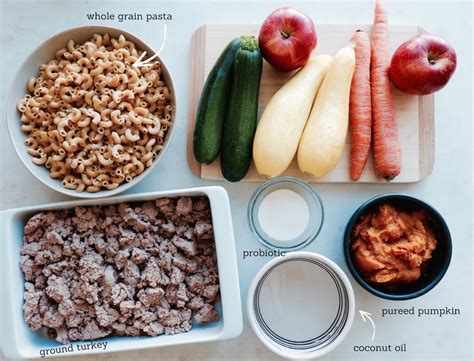 Diy Healthy Homemade Dog Food Wheres The Frenchie