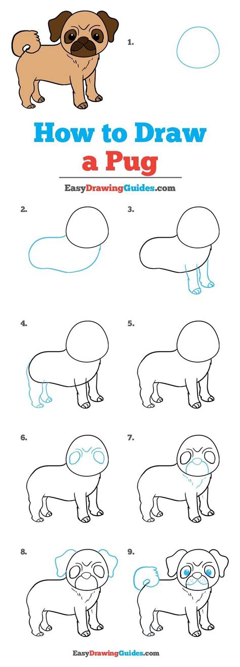 February 24, 2019 by admin 1 comment. 10 Cartoon Animal How To Drawings | Drawing tutorial easy, Dog drawing tutorial, Drawing tutorial