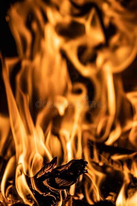 Closeup Shot Of Fire Flames With Burning Firewood Stock Image Image