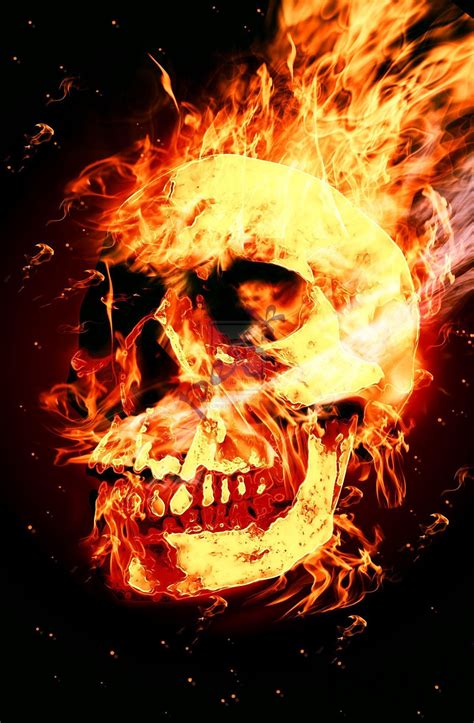 1,000+ vectors, stock photos & psd files. Skulls On Fire Wallpapers - Wallpaper Cave