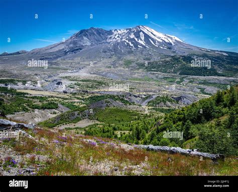 A Panoramic View Of Mount St Helens From The Johnson Ridge Observatory