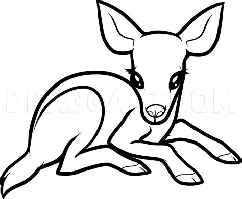 Simple Baby Deer Drawing