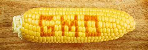 China Still Evaluating Syngentas Gmo Mir162 Corn Natural Society