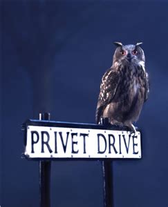 O armazenamento ilimitado no drive está incluído no google workspace. Privet Drive Street Sign with Owl Perched---Where Harry was taken, by Dumbledor, to be raised by ...