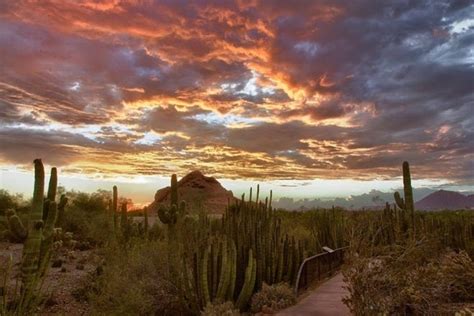 10 Best Romantic Things To Do In Phoenix Az Usa Today 10best
