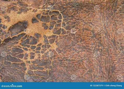 Rough And Mottled Brown Leather Stock Image Image Of Natural Cover