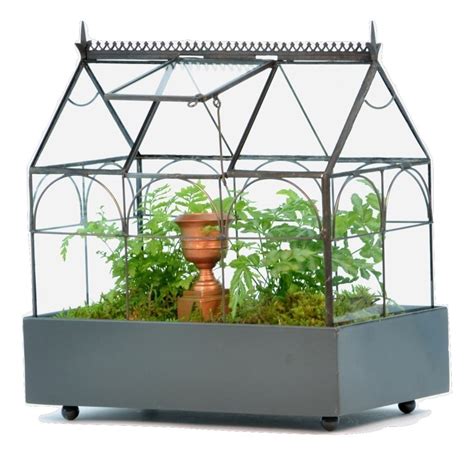 11 Best Wardian Cases And Terrariums For Sale Your Easy Buying Guide