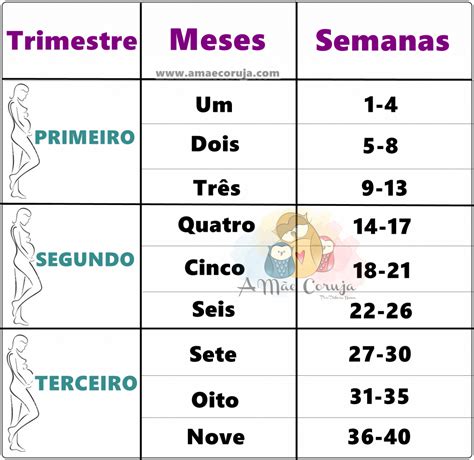 Calcular Meses A Semanas