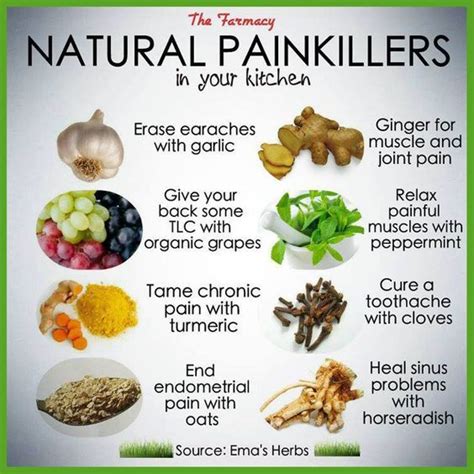 Infographic Natural Painkillers Healing Food Health Remedies