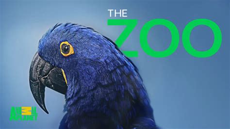 Animal Planet The Zoo Returning Series