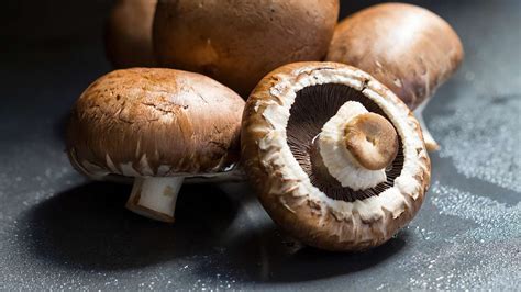 Eating Mushrooms Could Improve Your Mental Health Better Homes And Gardens