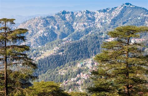 Wildflower Hall Shimla A Luxury Oberoi Extension To The Himalayas