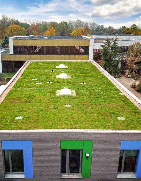 Cena zelené střechy | ECOSEDUM.cz