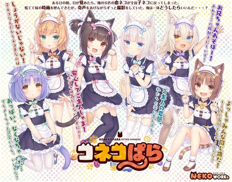 konekopara nekopara know your meme