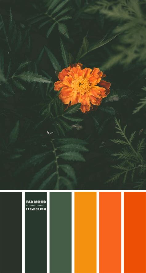 Forest Green And Burnt Orange Color Scheme Color Palette 77 Orange