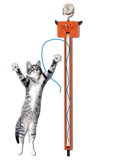 Moody Pet Fling Ama String Cat Toy Basic Nellis Auction