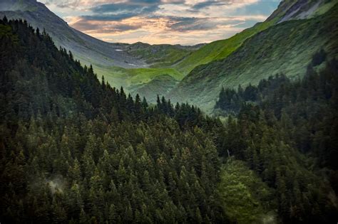 Photography Of Mountain Covered With Green Trees · Free Stock Photo