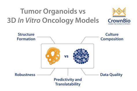 Why Choose Tumor Organoids Vs Other 3d In Vitro Models For Oncology