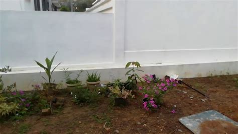 Namun sekarang ini sudah jarang sekali ditemukan rumah dengan lahan yang luas, sehingga niat nah buat kamu yang ingin memiliki kebun sayuran sendiri di rumah, beberapa contoh berikut ini bisa menjadi inspirasi. Kebun Mini belakang rumah - YouTube