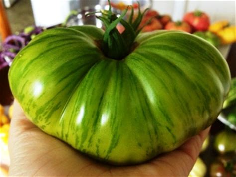 These are not the kind of green. Green-When-Ripe Tomatoes