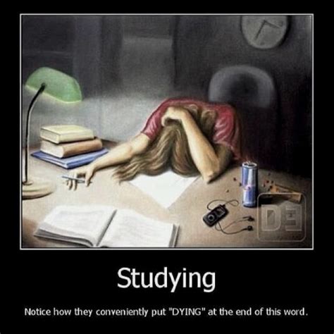 Studying With Images Funny School Stories Funny School Memes