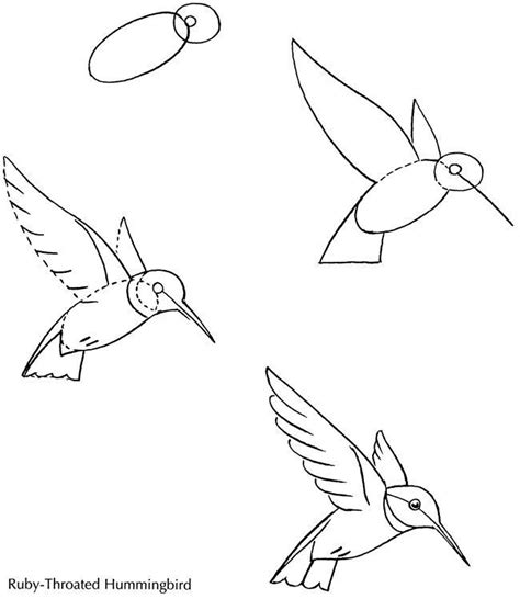 Cómo dibujar un pájaro paso a paso Fácil con imágenes imágenes a 