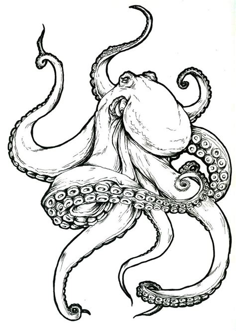 The boredom i got in my art history class for 3 hours created this pen drawing. Realistic Octopus Drawing at GetDrawings | Free download