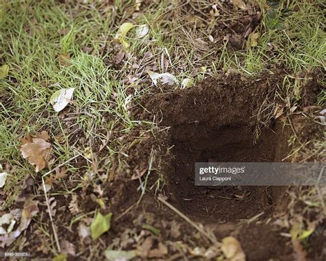 Hole In Grass High Res Stock Photo Getty Images