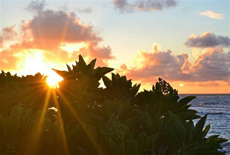 Hawaiian Journeys Sunrise In Hawaii